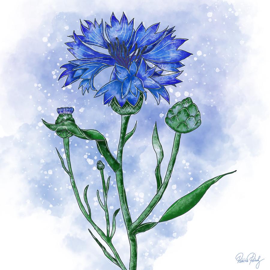 Cornflower Painting - Cornflower blue by Patricia Piotrak