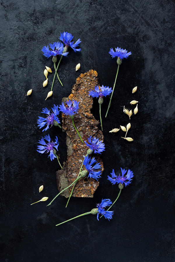 Cornflowers And Barley Corns Arranged On Dark Surface Photograph by Sabine Lscher