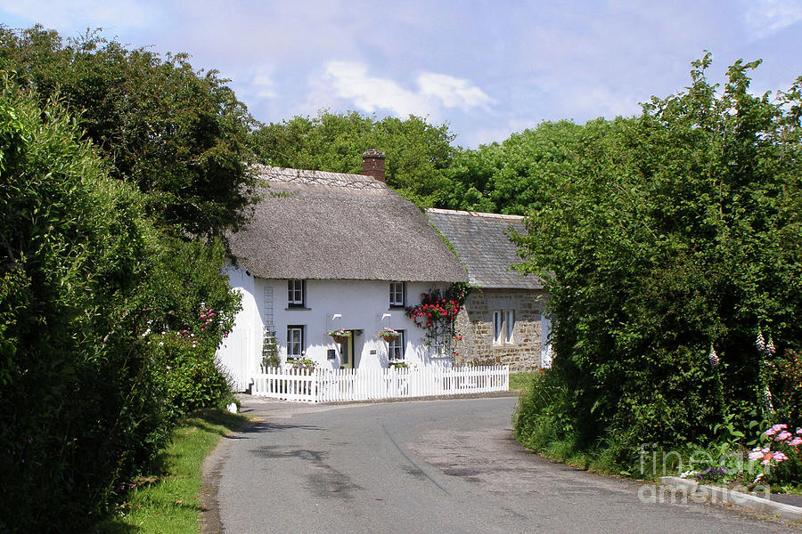Cornish Thatched Cottage Photograph by Terri Waters