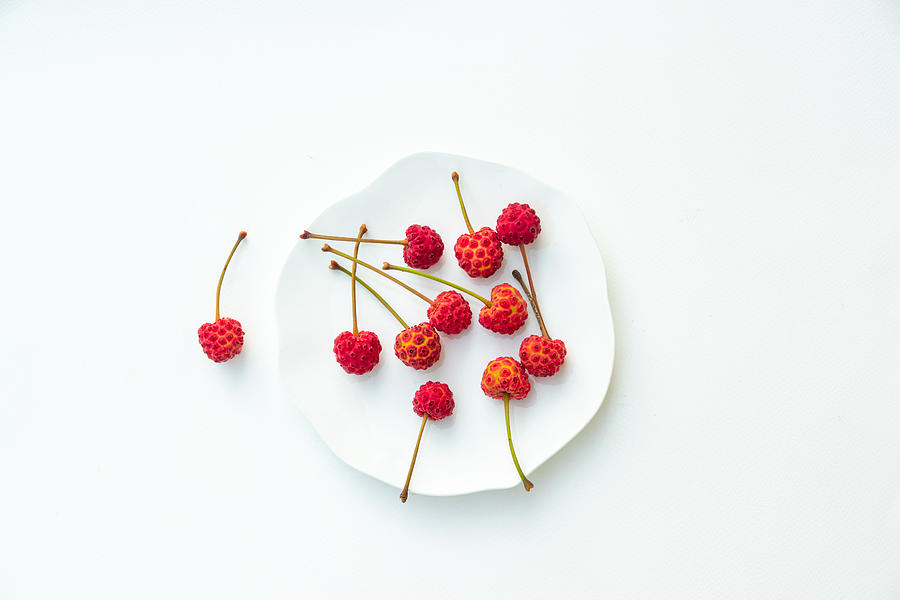 Nature Photograph - Cornus Kousa Berries On A Plate by Ludmila Shumilova