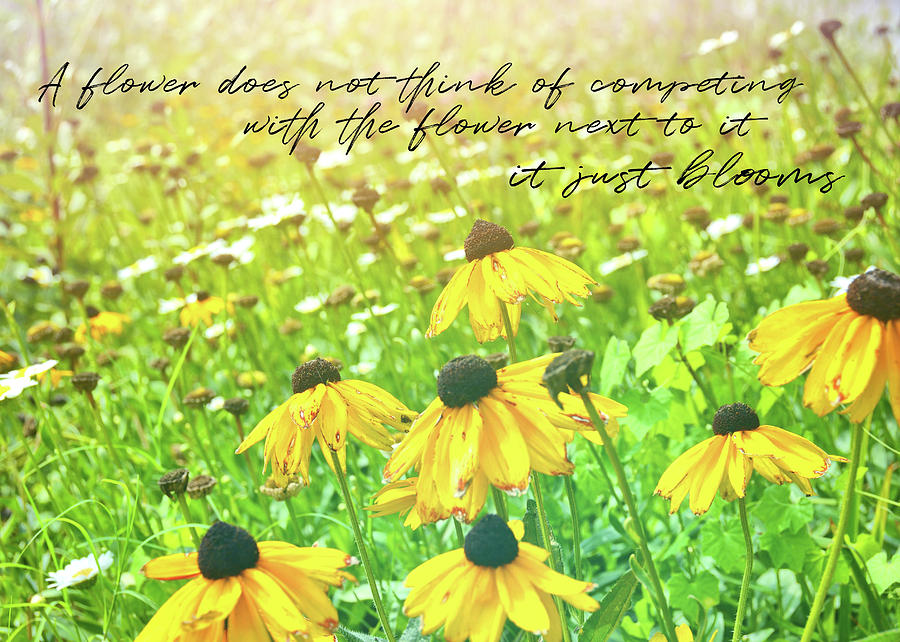COROLLA GARDEN quote Photograph by Jamart Photography
