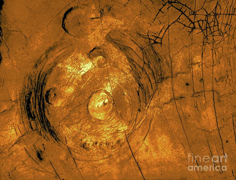 Corona And Pancake Domes On Venus Photograph by Nasa/jpl/science Photo Library