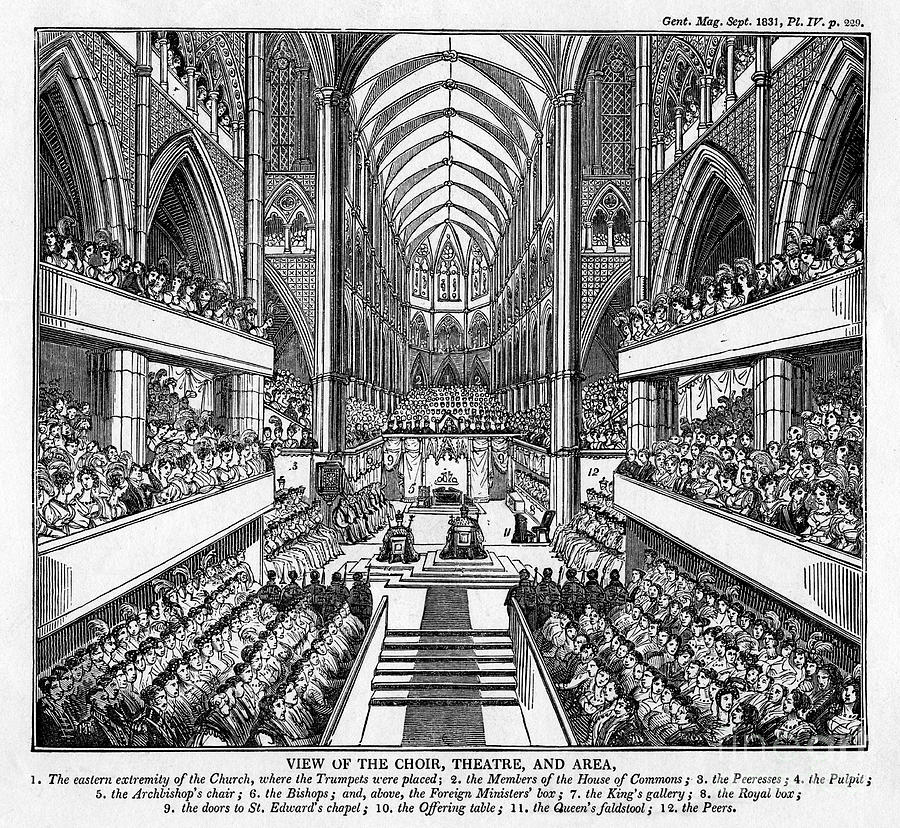 Coronation Of King William Iv And Queen Drawing by Print Collector