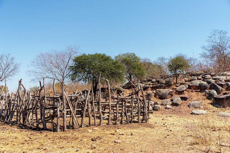 Corral for Cattle in Zimbabwe Photograph by Betty Eich