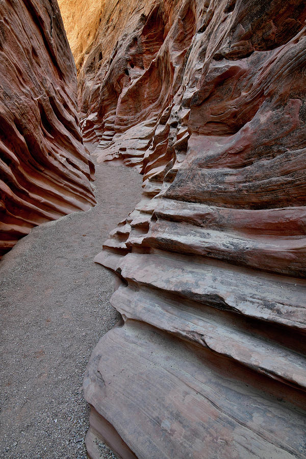 Corrugate Canyon Walls of Little Wild Horse Slot Photograph by Ray Mathis