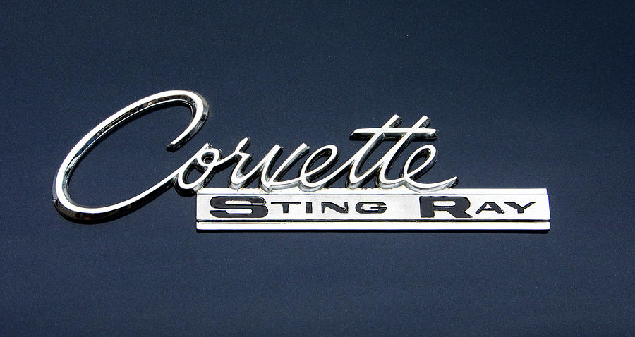 Corvette stingray Photograph by Ron Roberts