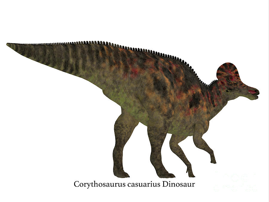Corythosaurus Dinosaur Tail with Font Digital Art by Corey Ford
