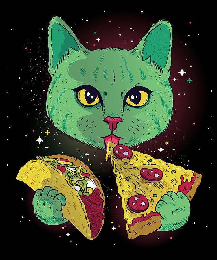 Cosmic Pizza Taco Cat Space Universe Food Kitten Digital Art by