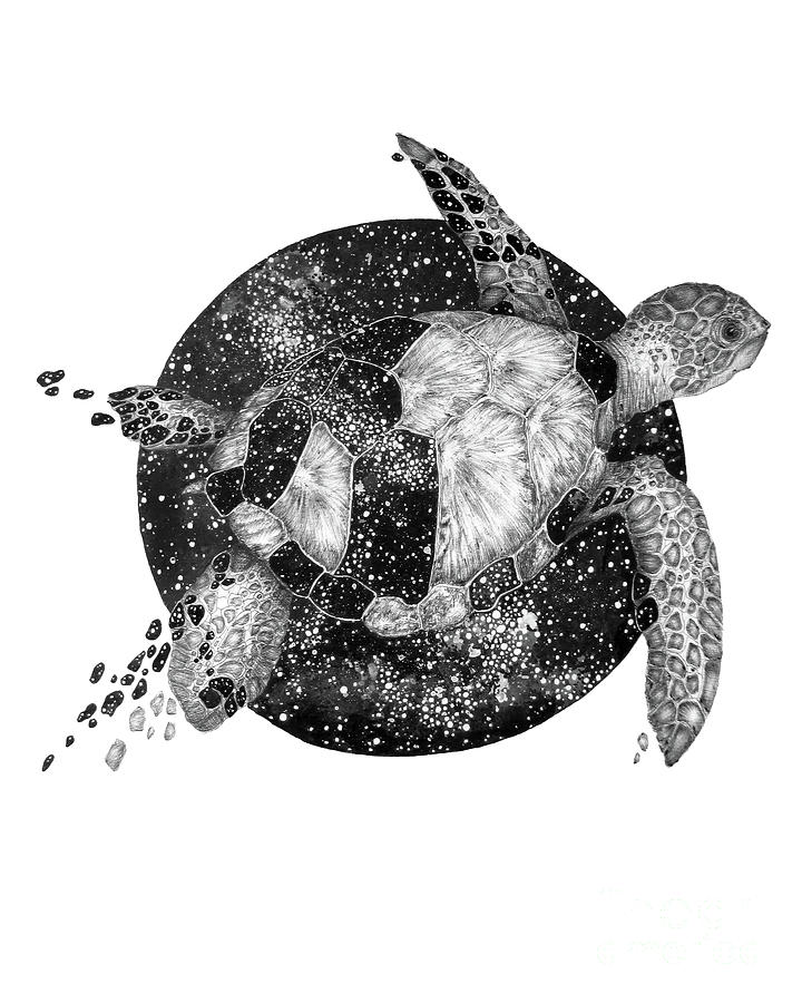 Cosmic Sea Turtle Drawing by Ella Mazur - Fine Art America