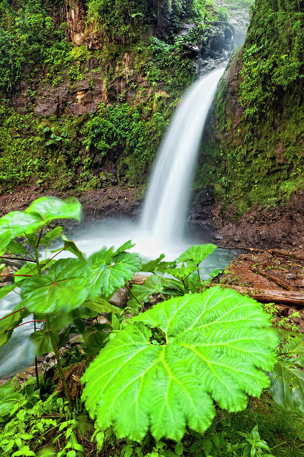 Costa Rica, Alajuela, Caribbean, Poas Volcano National Park, La Paz Waterfall Gardens Digital Art by Pietro Canali