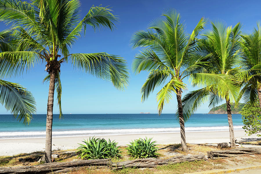 Costa Rica, Guanacaste, Pacific Ocean, Nicoya Peninsula, Playa Flamingo ...