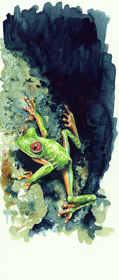 Costa Rican Frog Painting by Charlsie Kelly