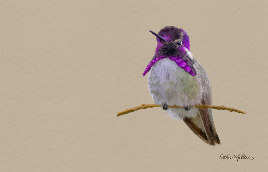 Costas Hummingbird Digital Art by Kathie Miller