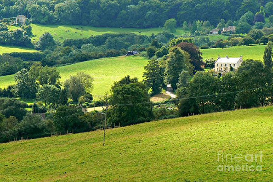 Cotswolds Fields S W England by Rod Jellison Cotswolds Fields S W England by Rod Jellison