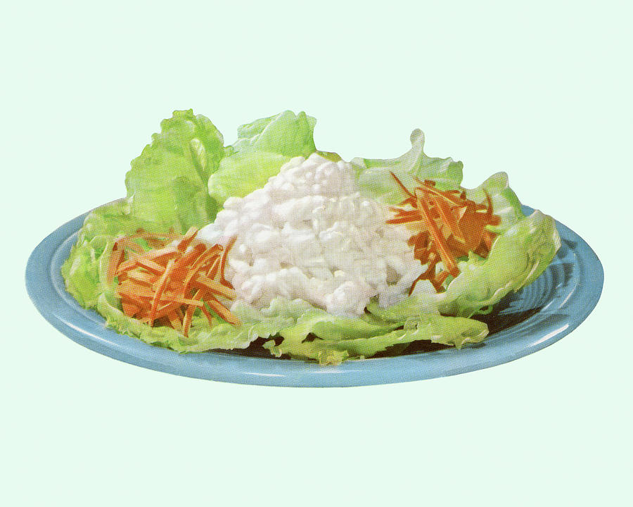 Lettuce Drawing - Cottage Cheese Salad by CSA Images
