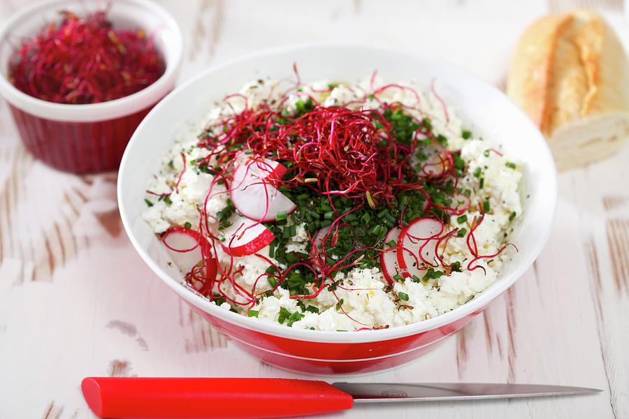 Cottage Cheese With Chives, Radishes And Beetroot Sprouts Photograph by Boguslaw Bialy