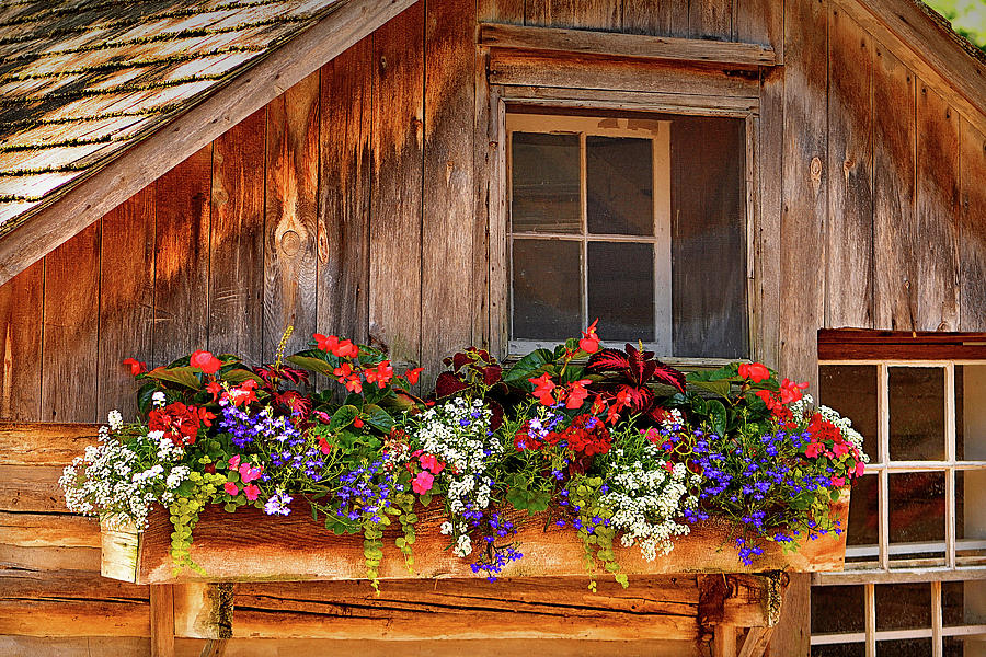 Cottage Flowers  Photograph by Rod Melotte