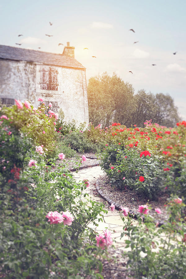 Cottage Garden With Roses Photograph by Ethiriel Photography