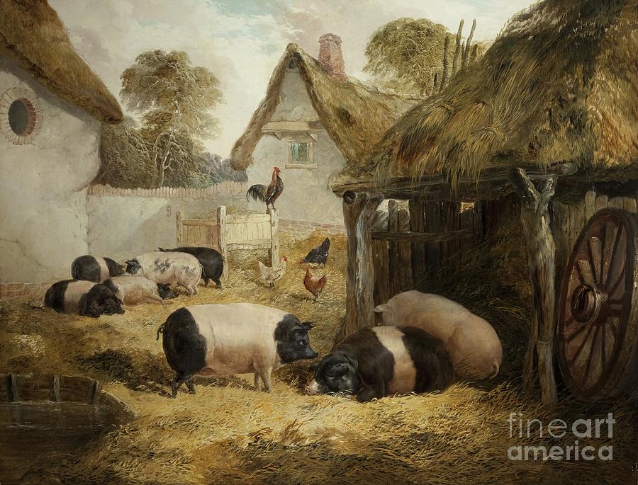 Pig Painting - Cottage Hospitality by William Collins