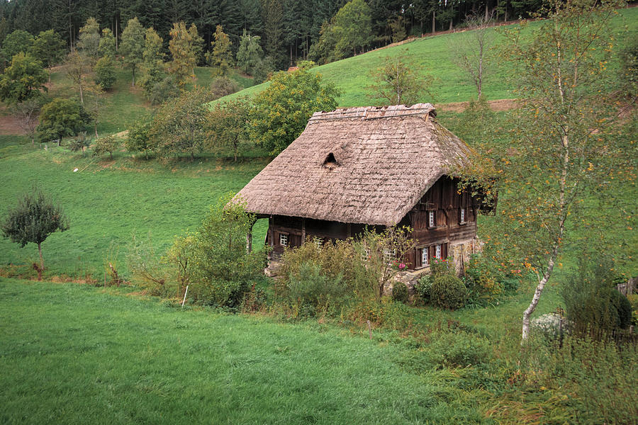 Cottage in the Black Forest Photograph by Mary Lee Dereske