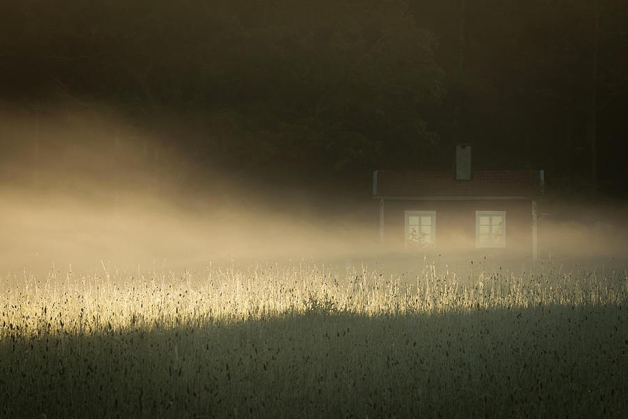 Tree Photograph - Cottage In The Fog by Allan Wallberg