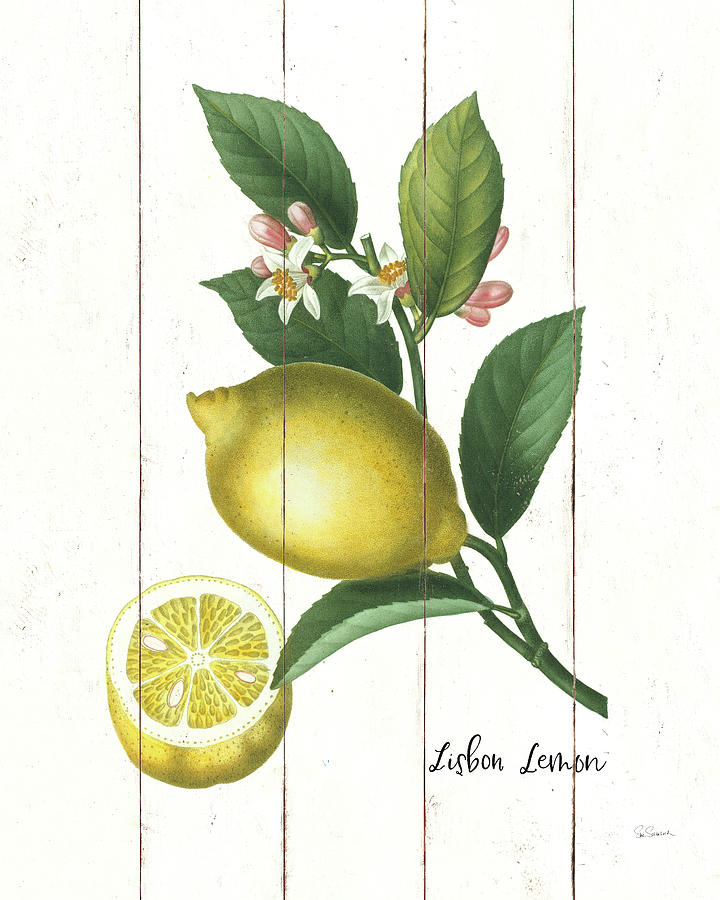 Flower Painting - Cottage Lemon I by Sue Schlabach