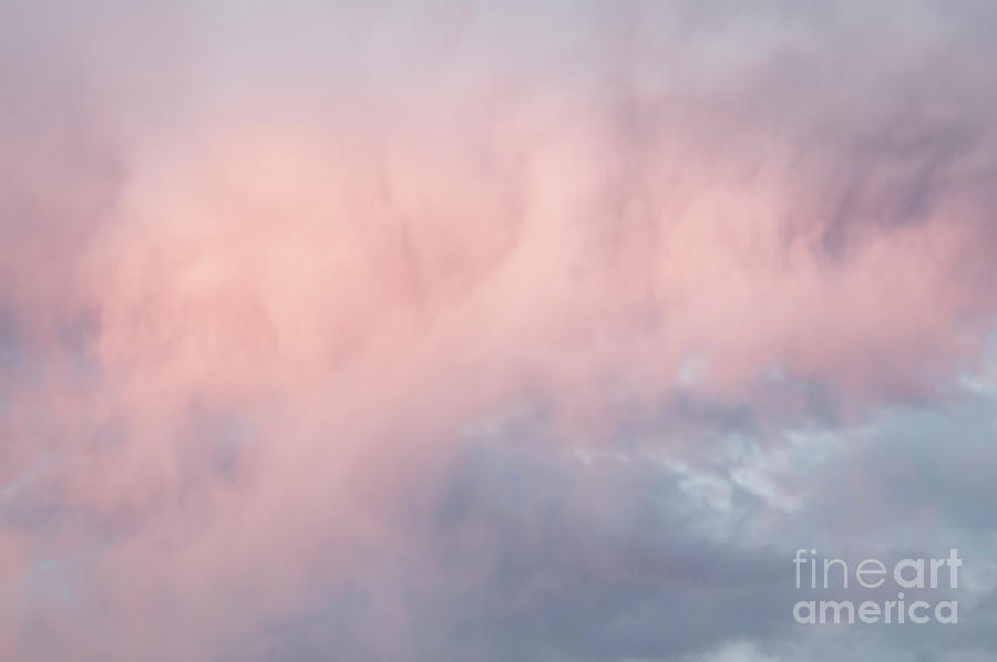 Cotton Candy Cloud Photograph by Kathleen Gauthier