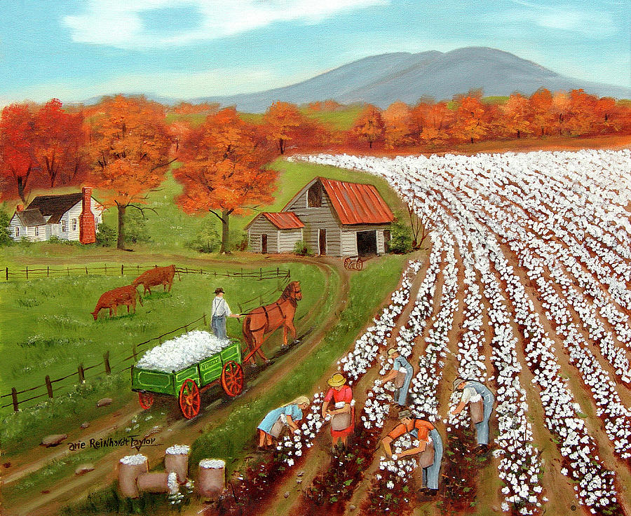 Barn Painting - Cotton Field And Bakers Mtn by Arie Reinhardt Taylor