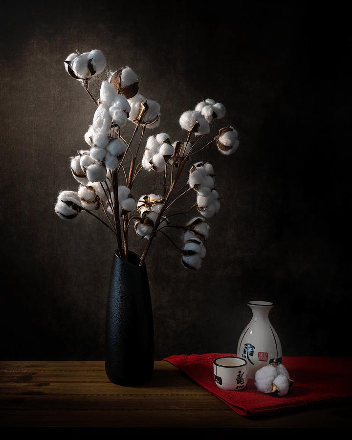Still Life Photograph - Cotton Flowers by Annie Poreider