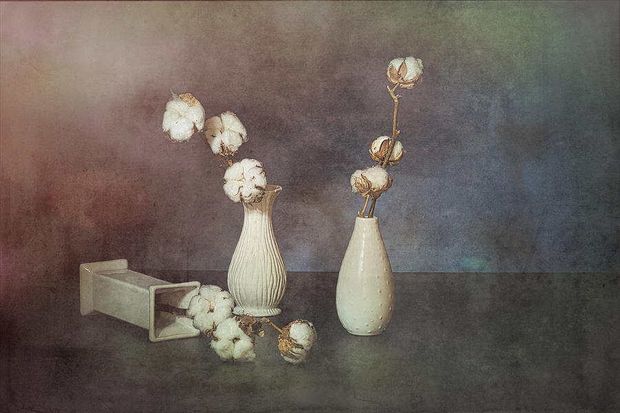 Flower Photograph - Cotton by Saskia Dingemans