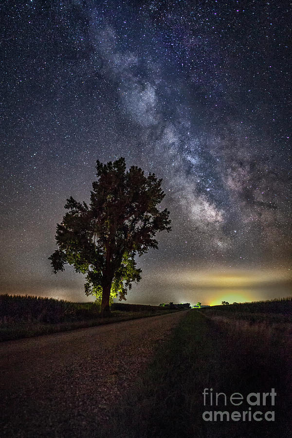 Cottonwood and Milky Way by Michael Greiner Cottonwood and Milky Way by Michael Greiner
