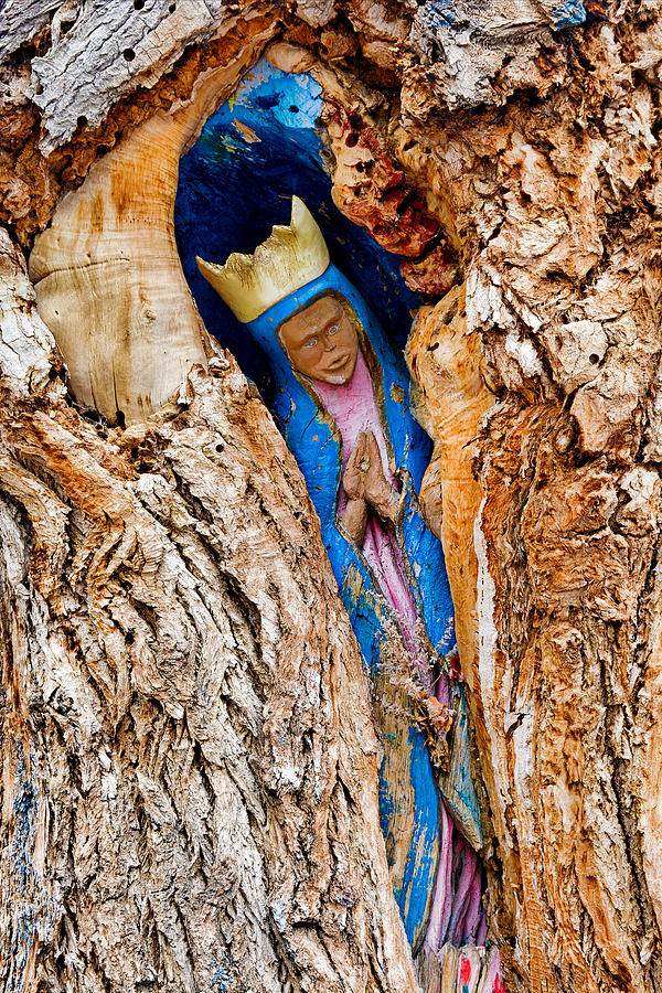 Cottonwood Madonna Photograph by Robert Meyers-Lussier