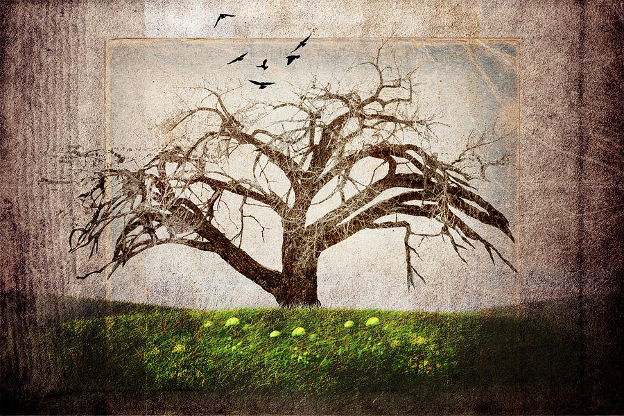 Animal Mixed Media - Cottonwood Tree Part 03 by Lightboxjournal