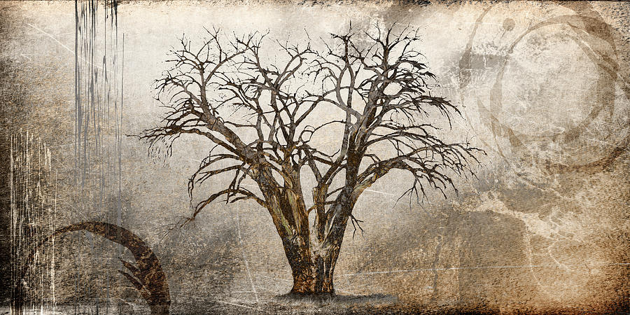 Cottonwood Trees Mixed Media - Cottonwood Tree Part 07 by Lightboxjournal