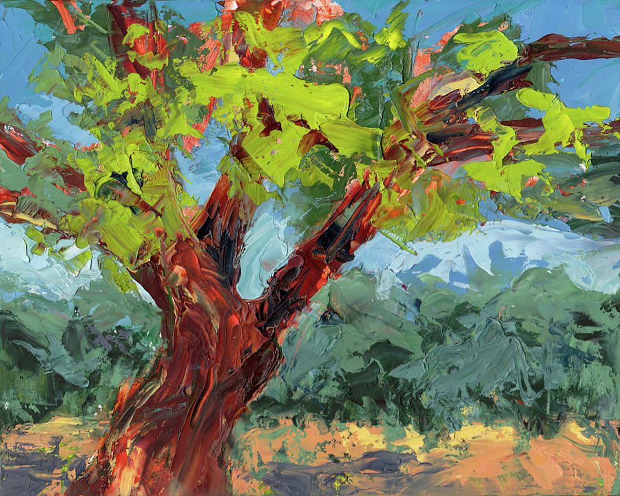 Cottonwood With Character Painting by Julie Maas