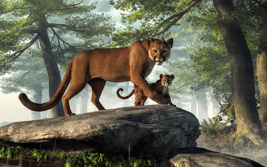 Cougar and Cub Digital Art by Daniel Eskridge