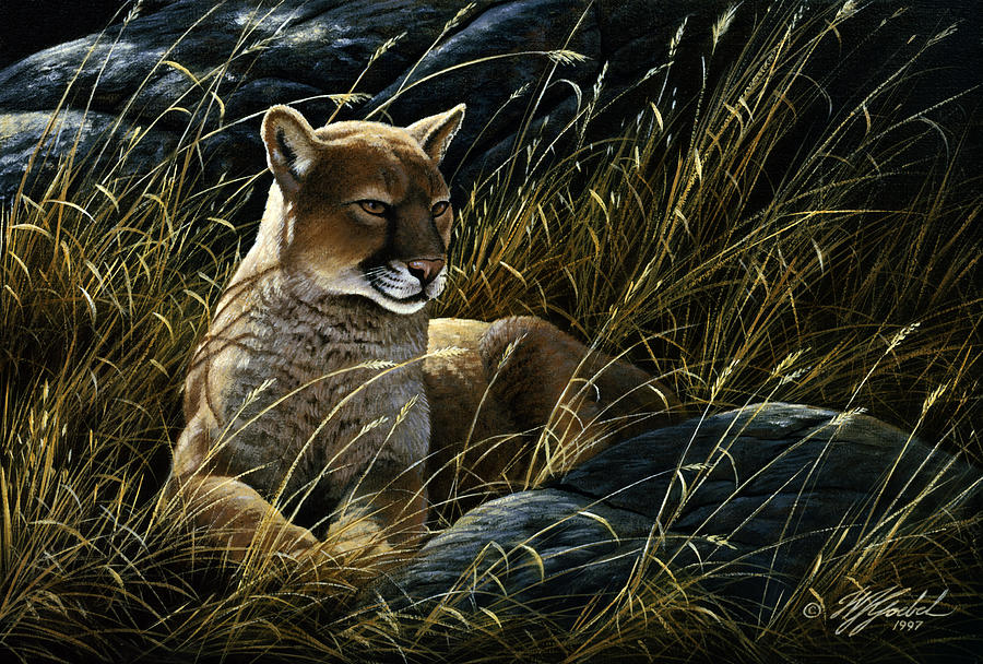 Animal Painting - Cougar In The Grass by Wilhelm Goebel