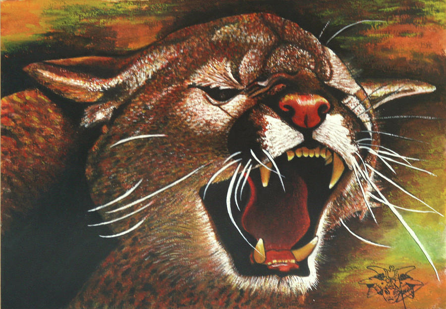 Cougar Painting by Jackie Nourigat