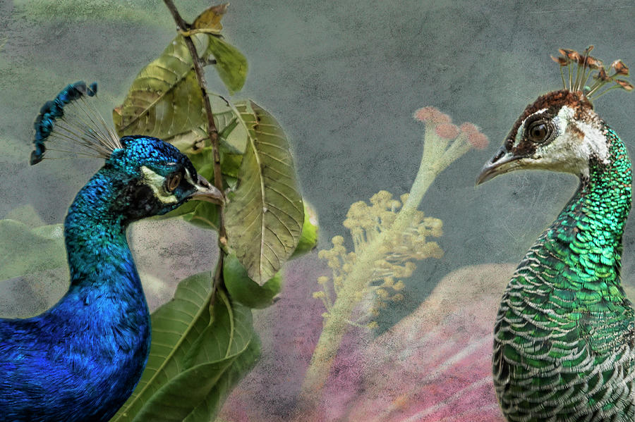 Could This Be Love Vers 2 by Belinda Greb Could This Be Love Vers 2 by Belinda Greb