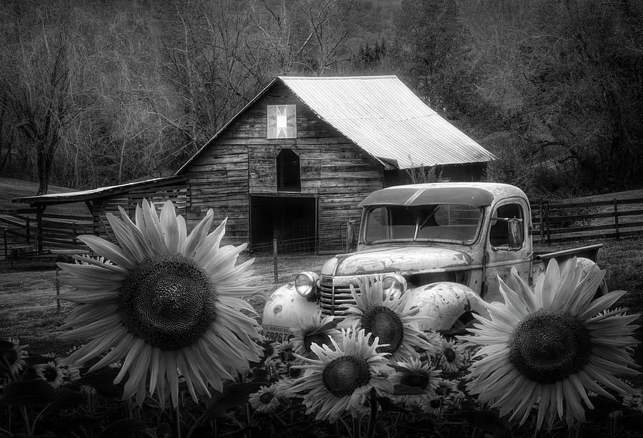 Countrified in Black and White Photograph by Debra and Dave Vanderlaan