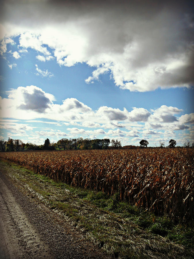 Country Autumn Curves 2 Photograph by Cyryn Fyrcyd