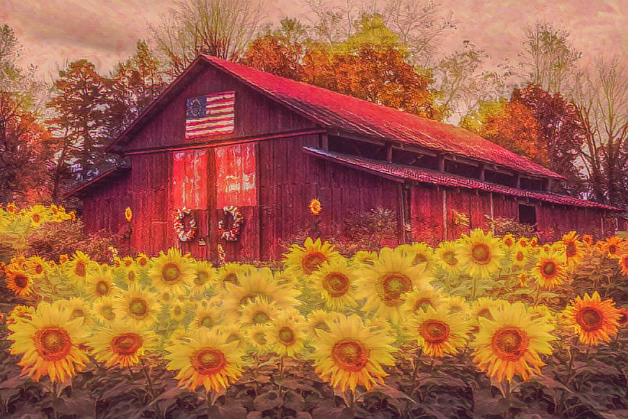 Country Barn in Sunflowers in Watercolors Photograph by Debra and Dave Vanderlaan