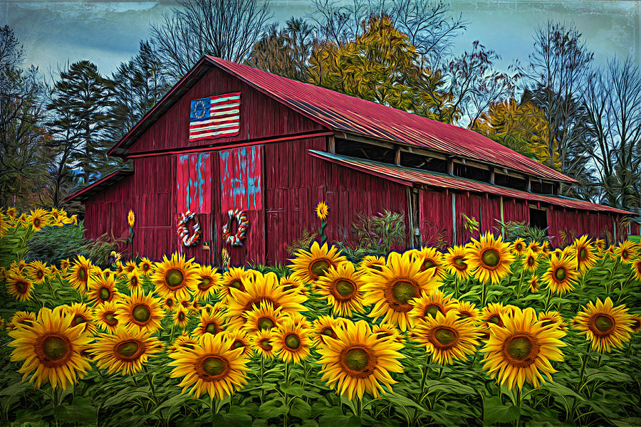 American Photograph - Country Barn in Sunflowers Textured by Debra and Dave Vanderlaan