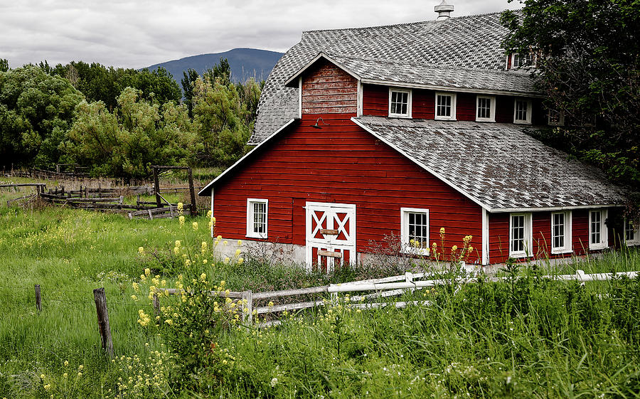Country Barn Living Photograph by Athena Mckinzie