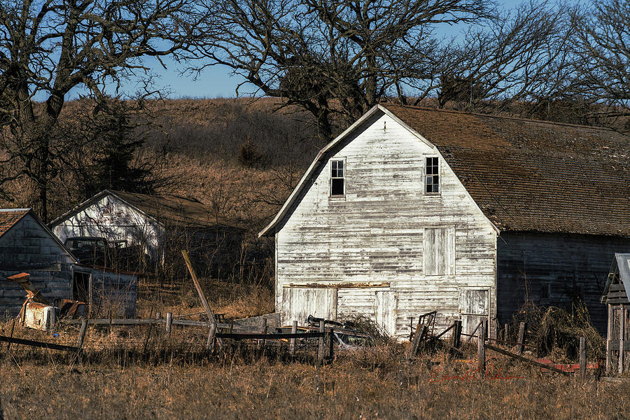 Country Barn Standing Photograph by Ed Peterson