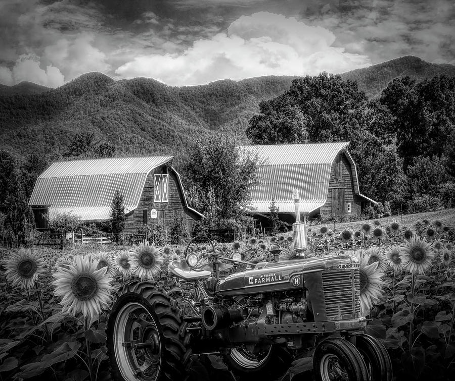 Country Black and White Photograph by Debra and Dave Vanderlaan