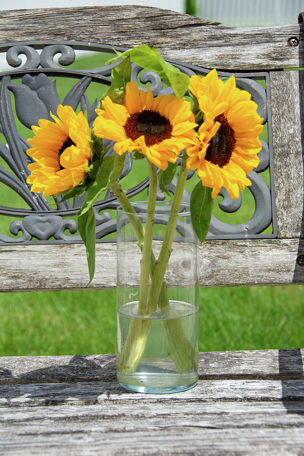 Country Bouquet by Jennifer Wick Country Bouquet by Jennifer Wick