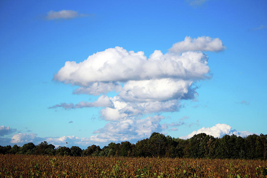 Country Clouds Photograph by Cynthia Guinn