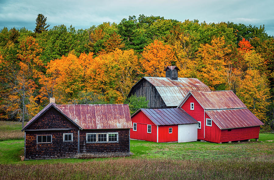 Country Colors Photograph by Carol Ward - Fine Art America