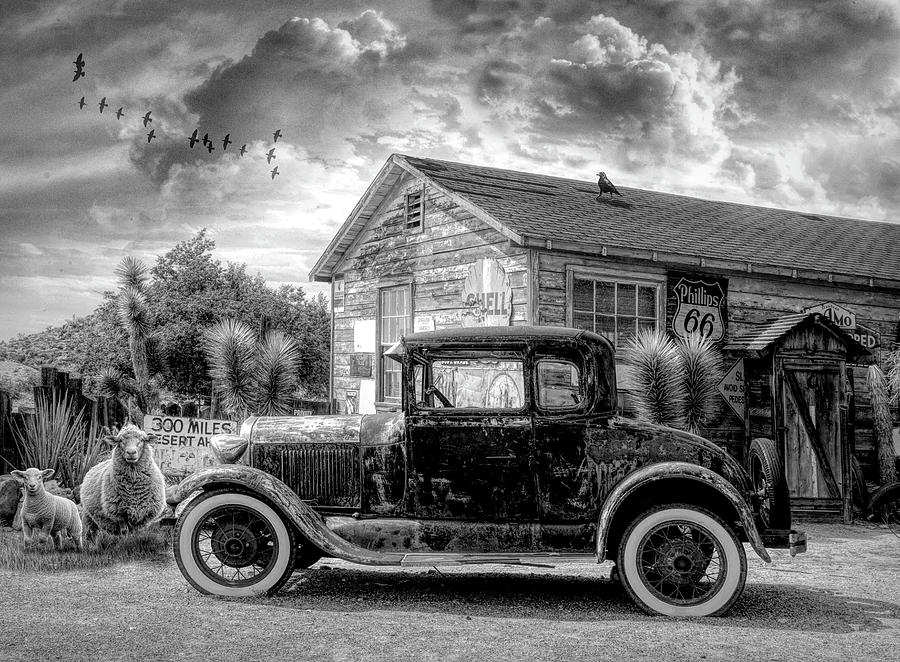 Country Drive in Black and White Photograph by Debra and Dave Vanderlaan
